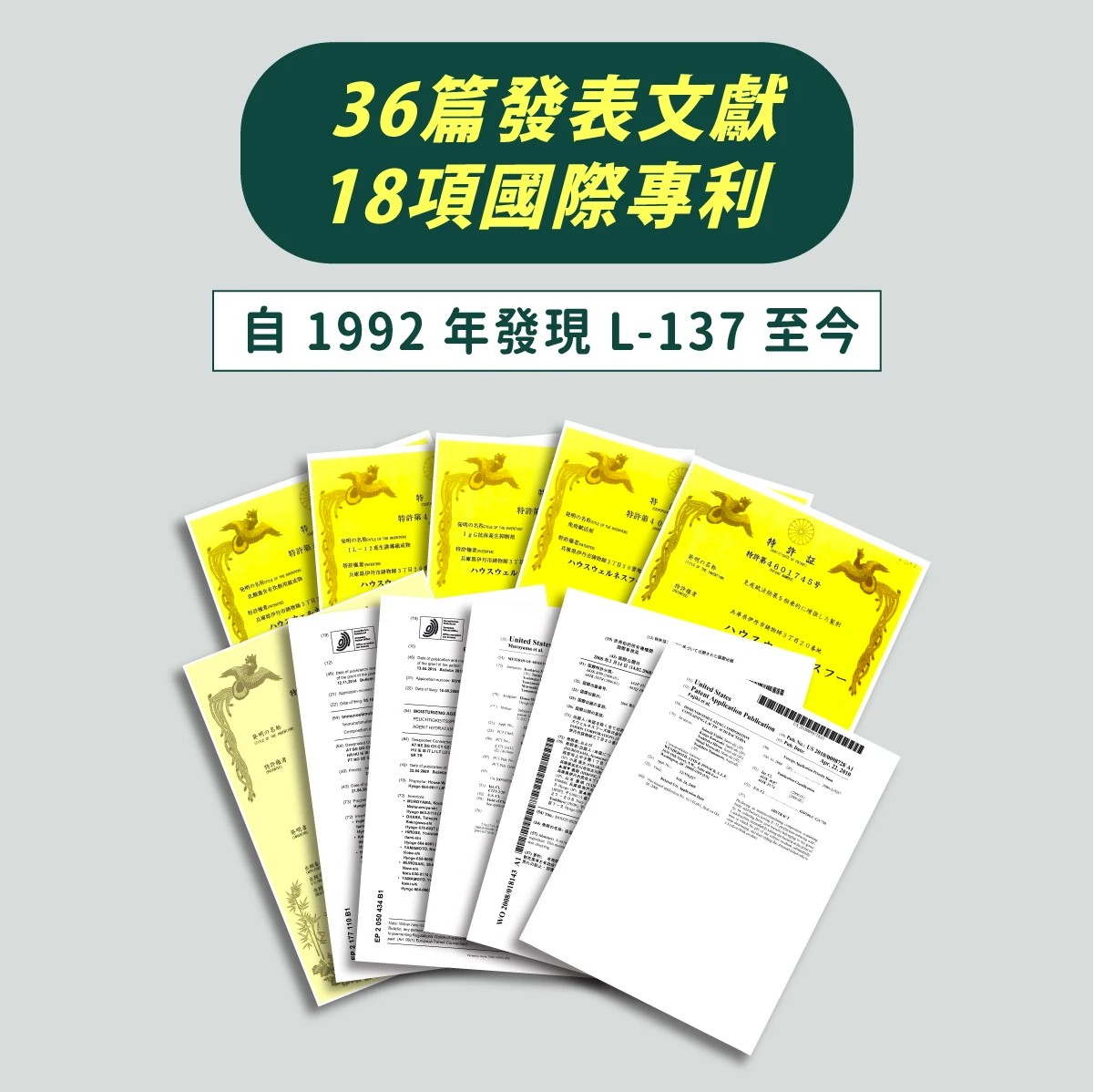 1744341302396728.jpg
