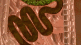 1744341302695299.gif